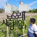 코스모스지