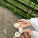 혜선목장 이미지