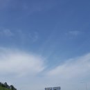 빨간산농장 이미지