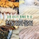 [내돈내산] 강원도 가족여행 첫끼니로 선택한 천둥회와 물회 천둥세트 후기