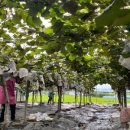 이순희농가 이미지