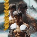 케이오복싱 이미지