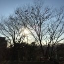 한국복지사이버대학교 이미지