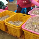 원조소라횟집 이미지