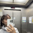 굽네치킨 안양박달점 고추바사삭 트러플웨지감자 배달 후기(라기 보다 그냥 먹었음)