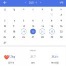 바디온핏 이미지