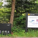 서리풀공원1-1 이미지