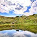 금광카써비스 이미지