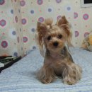 우리단비랑 이미지