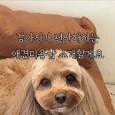 몽개구름 이미지