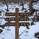 지원탕 이미지