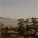 무안 톱머리해수욕장 펜션 소나무숲리조트 후기
