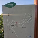 서호마을버스 (서호교통) | 항저우 여행 | 롱징차밭 방문기 / 부제 : 차밭 엑소더스