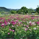 건강한미래항외과의원 이미지