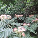 평전농장 이미지