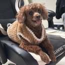 야사노 | ,2025 미틈달