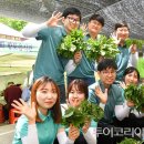 정선산나물 - 정선군 고한7길 5-37 | 정선산나물