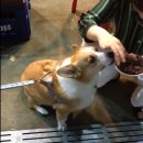 산책길에 이미지