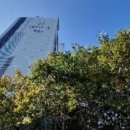 대원동 대동아파트 이미지