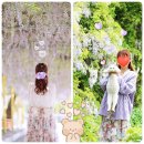 천안용암초등학교 이미지