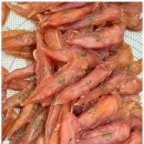 특별한 동물가게 이미지