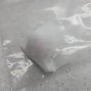 와니동물병원 이미지