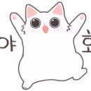 부라보마트 이미지