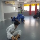 그레이시바하주짓수TEAMKMK