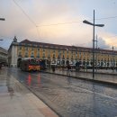 아모리노 이미지