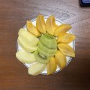 김희복 | 부산 산후도우미 마미캠프 추천 내돈내산 14일 이용후기 !