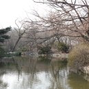 새2 이미지