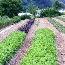 달맞이농장 이미지