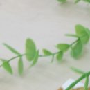 최앤이치과의원 | 얼굴 비대칭 교정 비용 상세 개선 후기