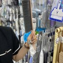 만지민박 이미지