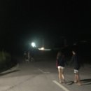 오크앨리 이미지