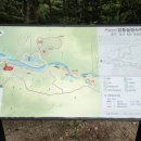 솔향수목원(솔숲광장) 이미지