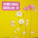 시그널성형외과의원 이미지