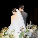 WD-11. 청주 메종드안 본식 드레스 후기 | 어두운 홀, 오간자 실크 드레스 추천!