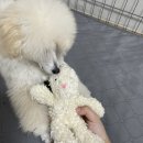 맘스마인드 트레이딩 이미지