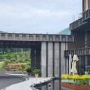 엠버리조트 | [제주] 내돈내산 솔직 투숙후기 : 엠버퓨어힐 호텔 &amp; 리조트 제주 : (신관객실 더스톤바, 살레 석식뷔페...