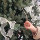 머물수록민박 | 서귀포스테이 후기 | 느린가에서 보낸 가족 힐링 여행