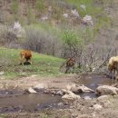 조선농장 이미지