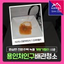 원삼면 | 용인 처인구 수도배관청소 계량기필터 설치 (원삼면 전원주택 상수도녹물)