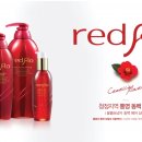 코스모플로 쿠키뉴스