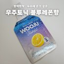 지에스(GS)25장림우주점 | 우주토닉 블루레몬향 GS편의점 내돈내산 후기 (탄산수추천)