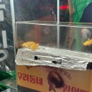 복싱의 신 | 살이 안빠지는게 말이안되는[팀블렛 복싱&amp;피티],다이어트 복싱 후기