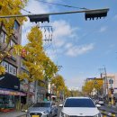 새대구약국 이미지