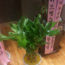 마음이편한정신과의원 이미지