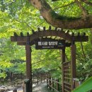 요룡대 네이버블로그