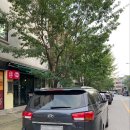 코펜하겐떡볶이 이미지